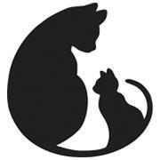 feral cats