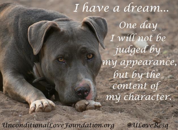 BSL breed specific legislation pit bulls i have a dream